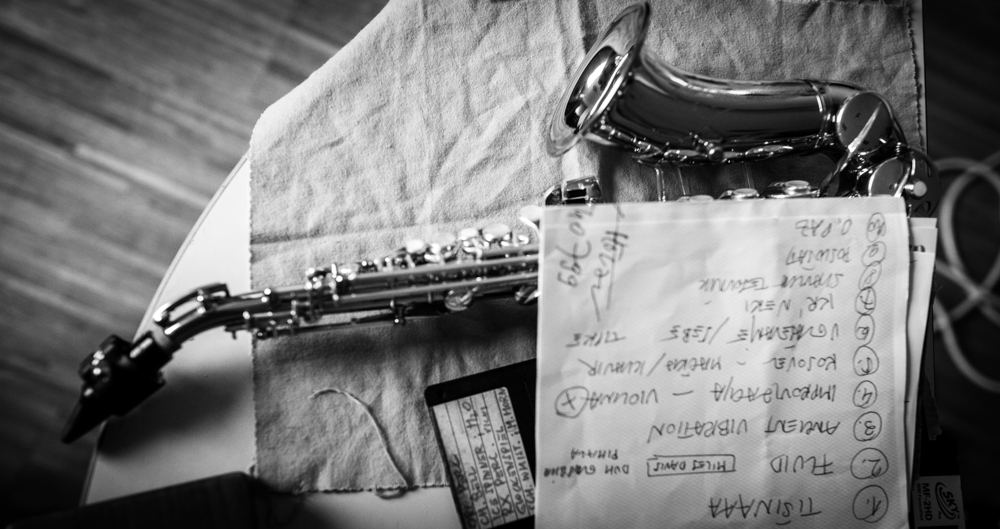 Festival of Slovenian Jazz 2014 saxophone Photo Nika Holcl.jpg