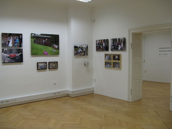 Until Death Do Us part, a view of the exhibition by Katarina RadoviÄ, Photon Gallery, 2011