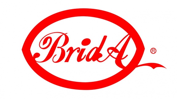 File:BridA (logo).jpg