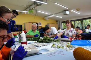 Work and creativity in Occupational Activity Centre, 2025.