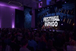Indigo Festival 9.10.2025 15 Photo Ales Rosa