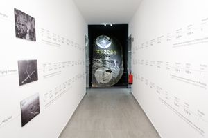 Exhibition at <!--LINK'" 0:264-->, 2020.