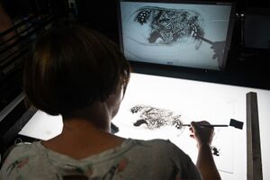 Peer2peer meeting of the DSAF AiR programme, Slovenian animators with Špela Čadež.