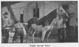 <i>Vojaki barvajo belca</i> [Soldiers painting the white horse], Ilustrirani glasnik, 1914, used on the cover of the catalogue <i>Winter Stock</i> by <!--LINK'" 0:63-->, 2008