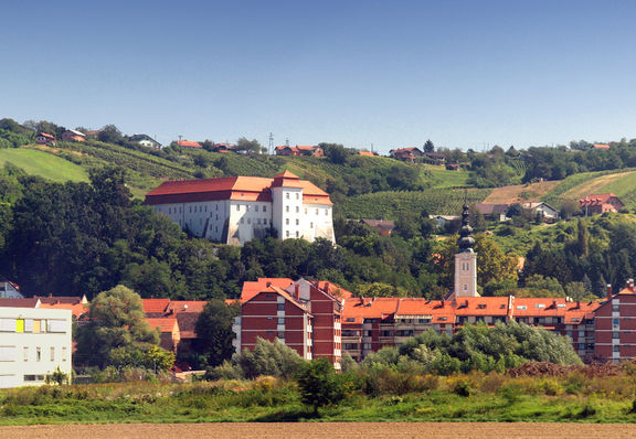 Lendava Castle, 2009