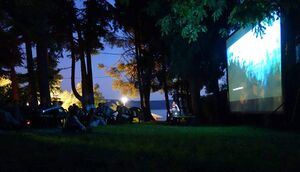 Screening of the <i>Video on the Beach</i> section, <!--LINK'" 0:257--> 2014.