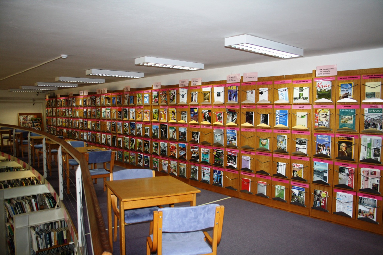 Lavric Library Ajdovscina 2013 reading room.jpg