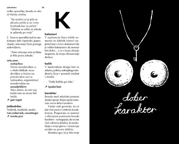 Razvezani jezik XXXY edition of the Razvezani jezik - The Unleashed Tongue dictionary, published by the Domestic Research Society, 2014