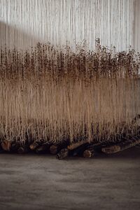 Biennial of Textile Art BIEN 2023 Ripening Photo Masa Pirc