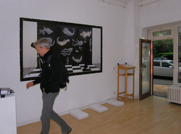 Damijan Kracina in front of his artwork Devonian future, Zero Gallery, Berlin 2010