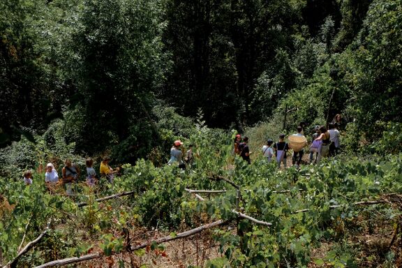 Summer school of the Academy of Margins, a collective learning experience in the village of Topolò (summer 2022). Smell and taste exploration of abandoned orchards, fields and forest, guided by the Austrian designer Philipp Kolmann.
