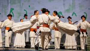 Folklore group from Dragatuš at <!--LINK'" 0:853--> in 2022. Author: Jani Pavlin