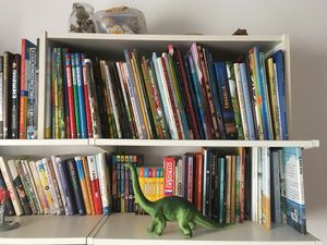 The home library of book blogger <!--LINK'" 0:167--> boasts a hearty collection of children’s picture books.