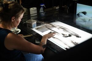 Animator Naomi van Niekerk at work at the <!--LINK'" 0:53--> Studio in Ljubljana. A peer2peer meeting organised by the <!--LINK'" 0:54--> in September 2024.