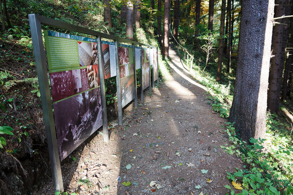 Information boards by the path leading to Pauček Partisan Hospital, Trška gora na Pohorju.