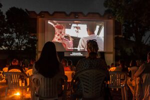 Screening at <i>Arrigoni</i> open-air cinema, 16th <!--LINK'" 0:226-->, 2020.