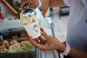 The project GELATOn the ROAD, 2025