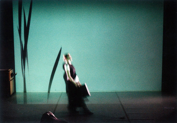 Paracelsus and Frankenstein performance by Barbara Novakovič Kolenc, Muzeum Institute at Cankarjev dom 1999. Sanja Neškovič Peršin in the role of Peter Schlemichl.