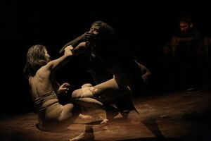 The virtual Q&A between Japanese author Mieko Kawakami and Nagisa Moritoki Škof that was accompanied by a Butoh performance by Darinka Pillari took place at <!--LINK'" 0:388-->'s Club CD in 2022. The event presented <i>Summer Stories</i>, Kawakami's 2019 novel.