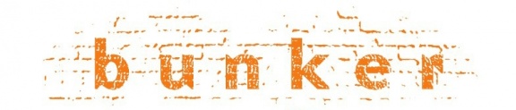 File:Bunker Institute (logo).JPG