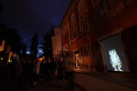 Fragments of the World, video installations showing animals captured in the urban world created by men, Vžigalica Gallery by Bertrand Gadenne, Lighting Guerrilla Festival, 2013