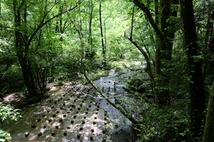 A Tangible Encounter - Workshop and installation on Koderjana stream by the Dutch architecture office <!--LINK'" 0:559--> in collaboration with the student of the <!--LINK'" 0:560--> in Ljubljana (Topolò/Topolove, spring 2019).