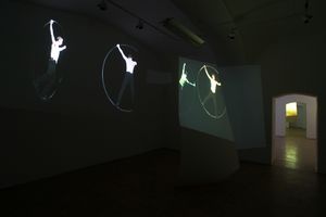 Video projections <i>Night Flight</i> by artist <i>Jasna Hribernik</i> at the <!--LINK'" 0:603-->, 2010 - 2011