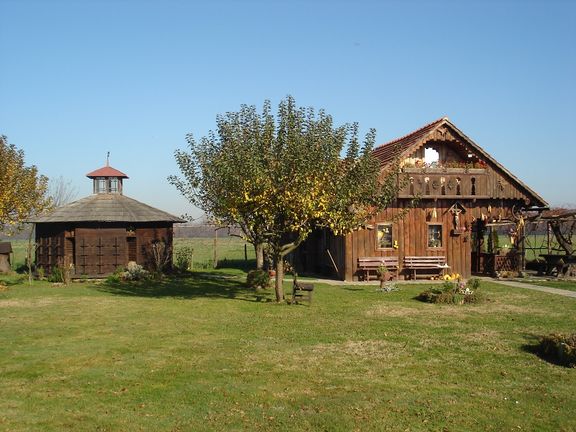 Open air Apiculture Museum in Krapje, visitors can view many aspects of historic apiary techniques. The oldest bee hive in the apiaries is more than 300 years old