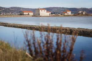 View of <!--LINK'" 0:215-->, 2020.