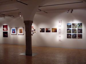 <i>Nova srbska fotografija</i> (Contemporary Serbian photography) exhibition, 2010