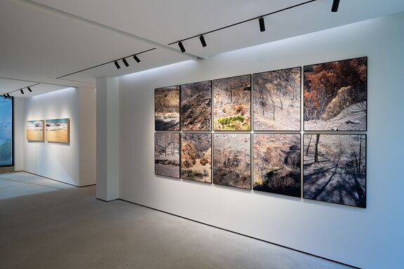 The exhibition "Avoidance – trilogy" by Marko Lipuš, 2024.