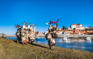 Kurents' door-to-door rounds, <!--LINK'" 0:435--> in Ptuj, 2023. Author: Stanko Vozel