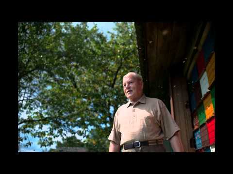 JANKO PISLAK - čebelar / beekeeper