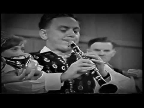 Ansambel bratov Avsenik - Pastirček (1967)