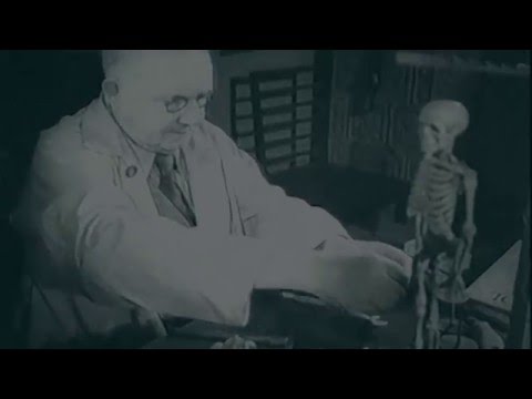 Milan Klemenčič Web