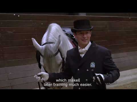 Tradicionalna reja in vzreja lipicancev / Traditional breeding and raising of Lipizzan horses