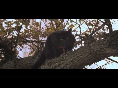 CIRKUS COLUMBIA trailer